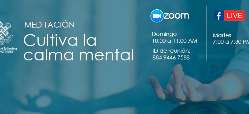 meditacion zoom facebook live